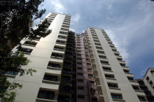 senja-link photo thumbnail #3